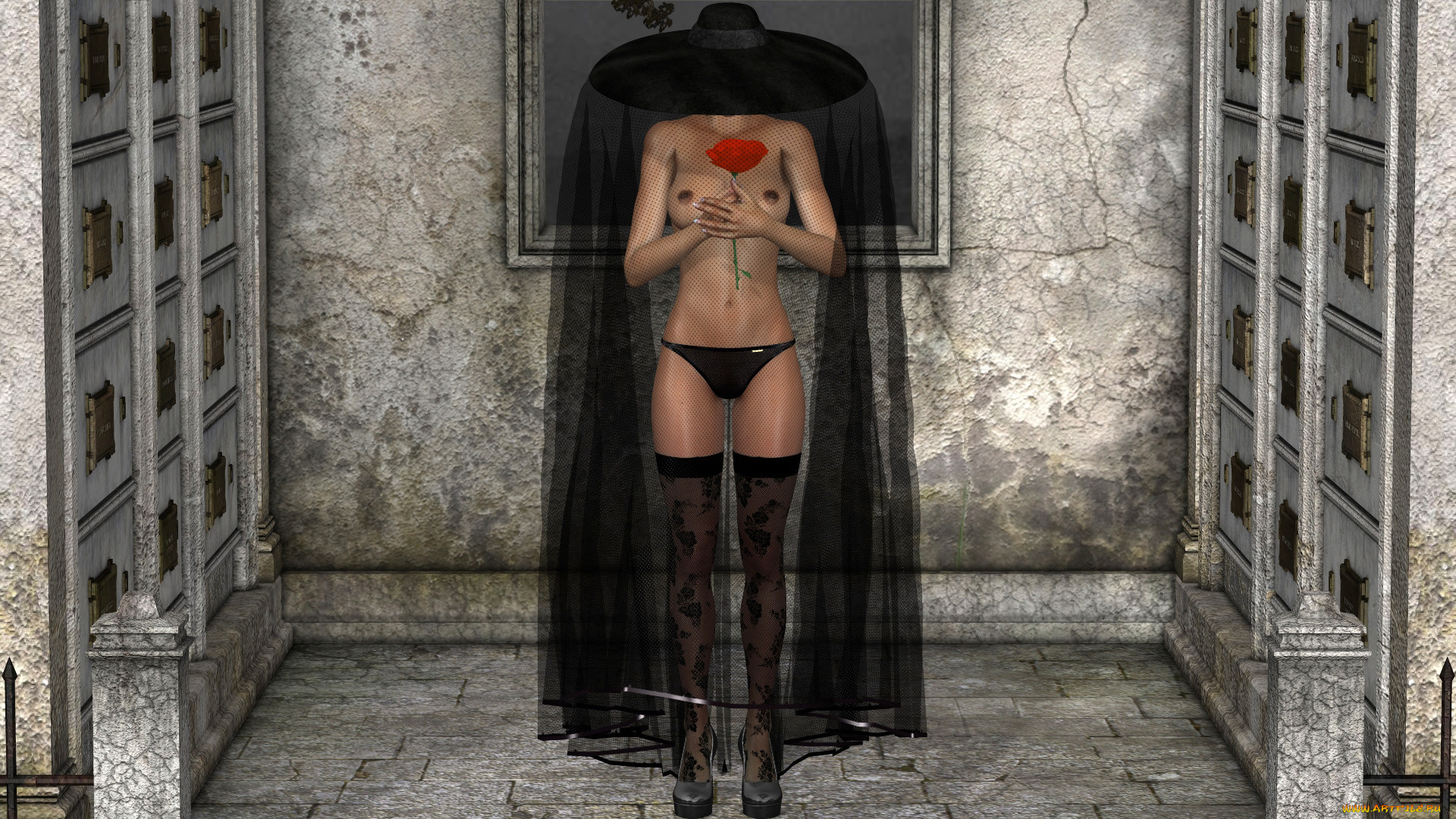 , 3-, , , , , black, widow
